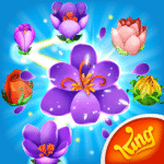 Blossom Blast Saga MOD Unlimited Money 100.210.0.0 Blossom Blast Saga MOD Unlimited Money 100.210.0.0
