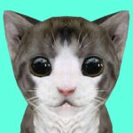 Cat Simulator Online MOD Unlimited Money 49