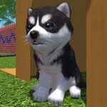 Cute Pocket Puppy 3D – Part 2 MOD Unlimited Money 1.10.5 Cute Pocket Puppy 3D – Part 2 MOD Unlimited Money 1.10.5