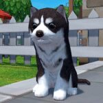 Dog Simulator 3D – Animal Life MOD Unlimited Money 1.1.00 Dog Simulator 3D – Animal Life MOD Unlimited Money 1.1.00