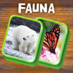 Mahjong Fauna-Animal Solitaire MOD Unlimited Money 5.0.0.1 Mahjong Fauna-Animal Solitaire MOD Unlimited Money 5.0.0.1