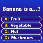 Millionaire – Quiz Trivia MOD Unlimited Money 2.1.1