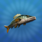 True Fishing 2 Online 3D MOD Unlimited Money 1.10.1 True Fishing 2 Online 3D MOD Unlimited Money 1.10.1