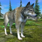 Wolf Simulator – Animal Games MOD Unlimited Money 1.0.62